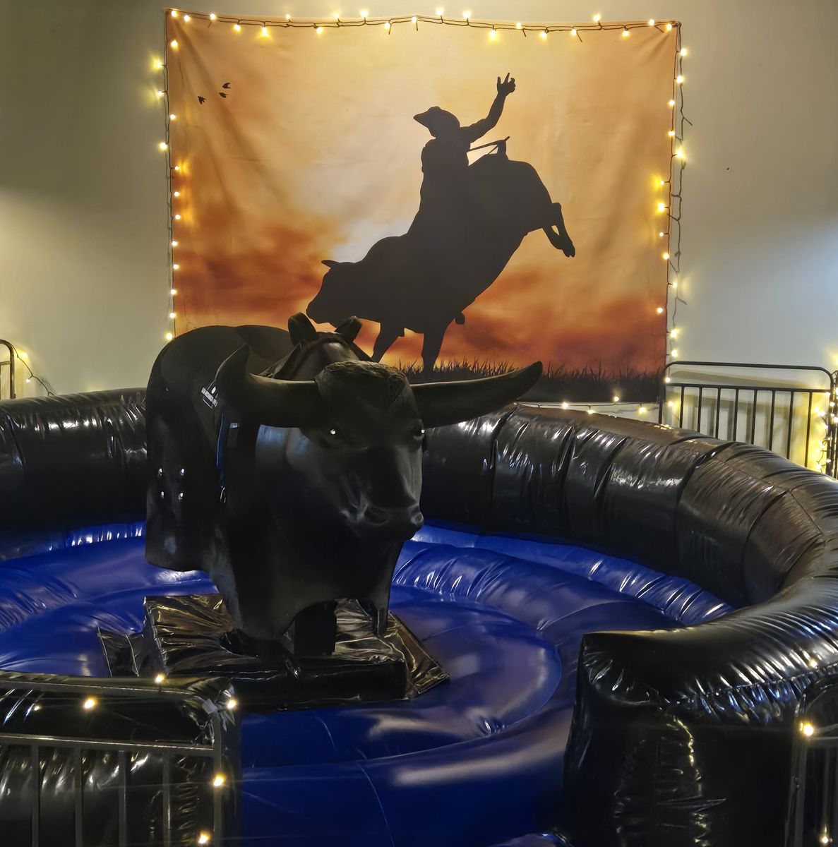 Mechanical Bull For Sale