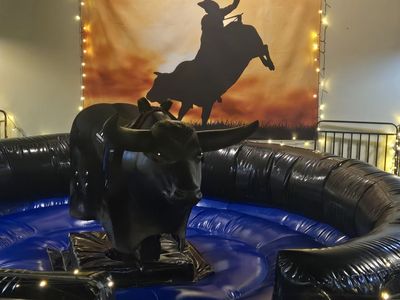 Mechanical Bull For Sale