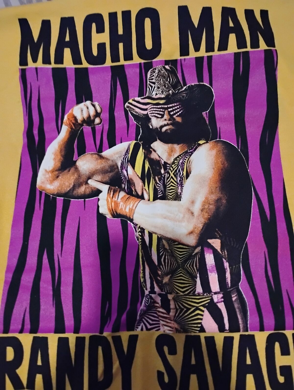 WWE wrestling merchandise only $20 each