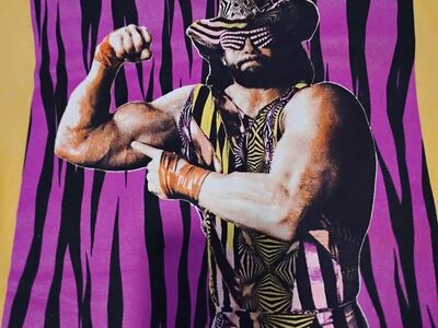 WWE wrestling merchandise only $20 each