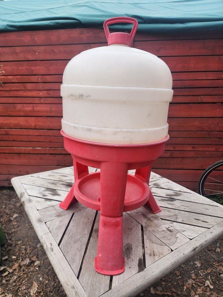 Little Giant 8 Gallon Chicken Water Dispenser