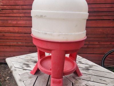 Little Giant 8 Gallon Chicken Water Dispenser
