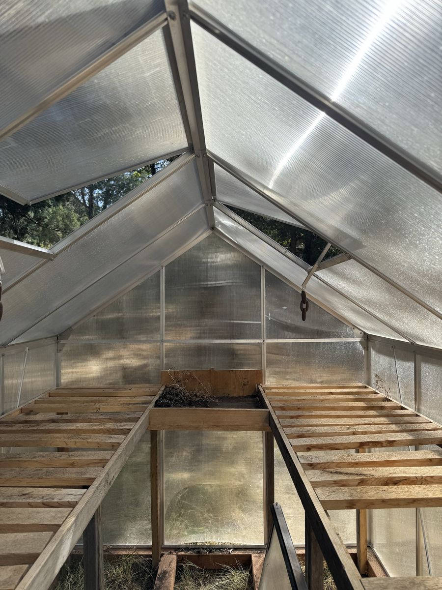 Main image 7