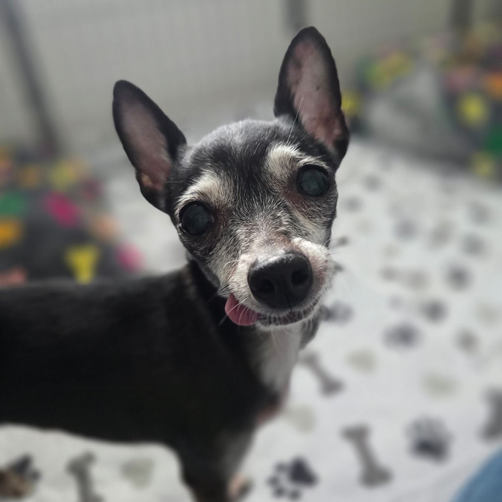 Hello my name is Mabel