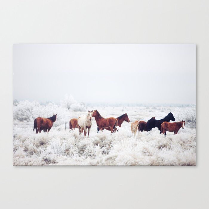 2’x3’ canvas art print