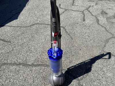 Dyson DC40 Ball Vacuum