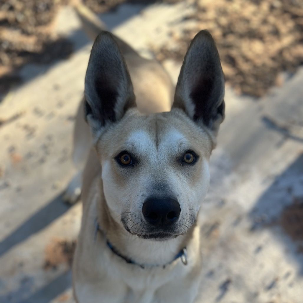 Hello my name is Florence