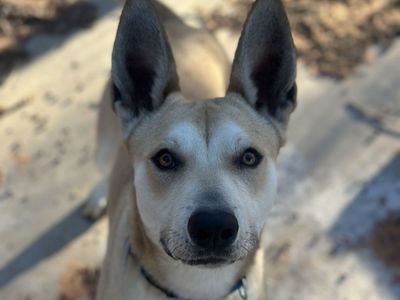 Hello my name is Florence