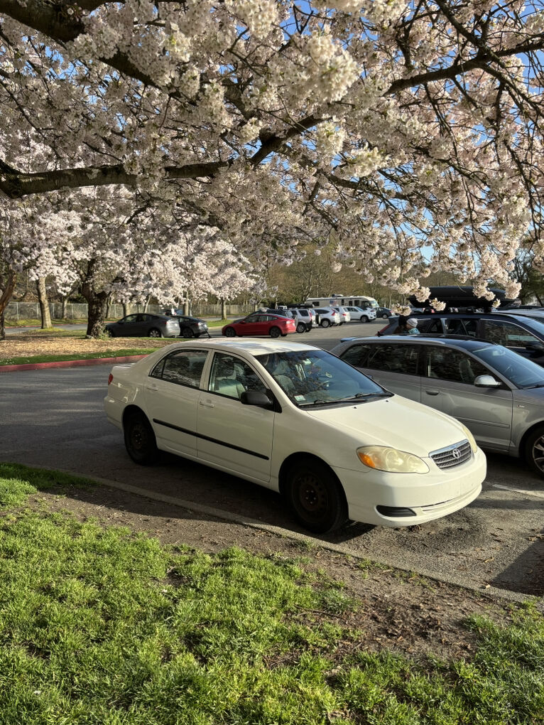 2008 Toyota Corolla LE