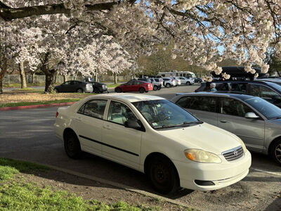 2008 TOYOTA COROLLA LE