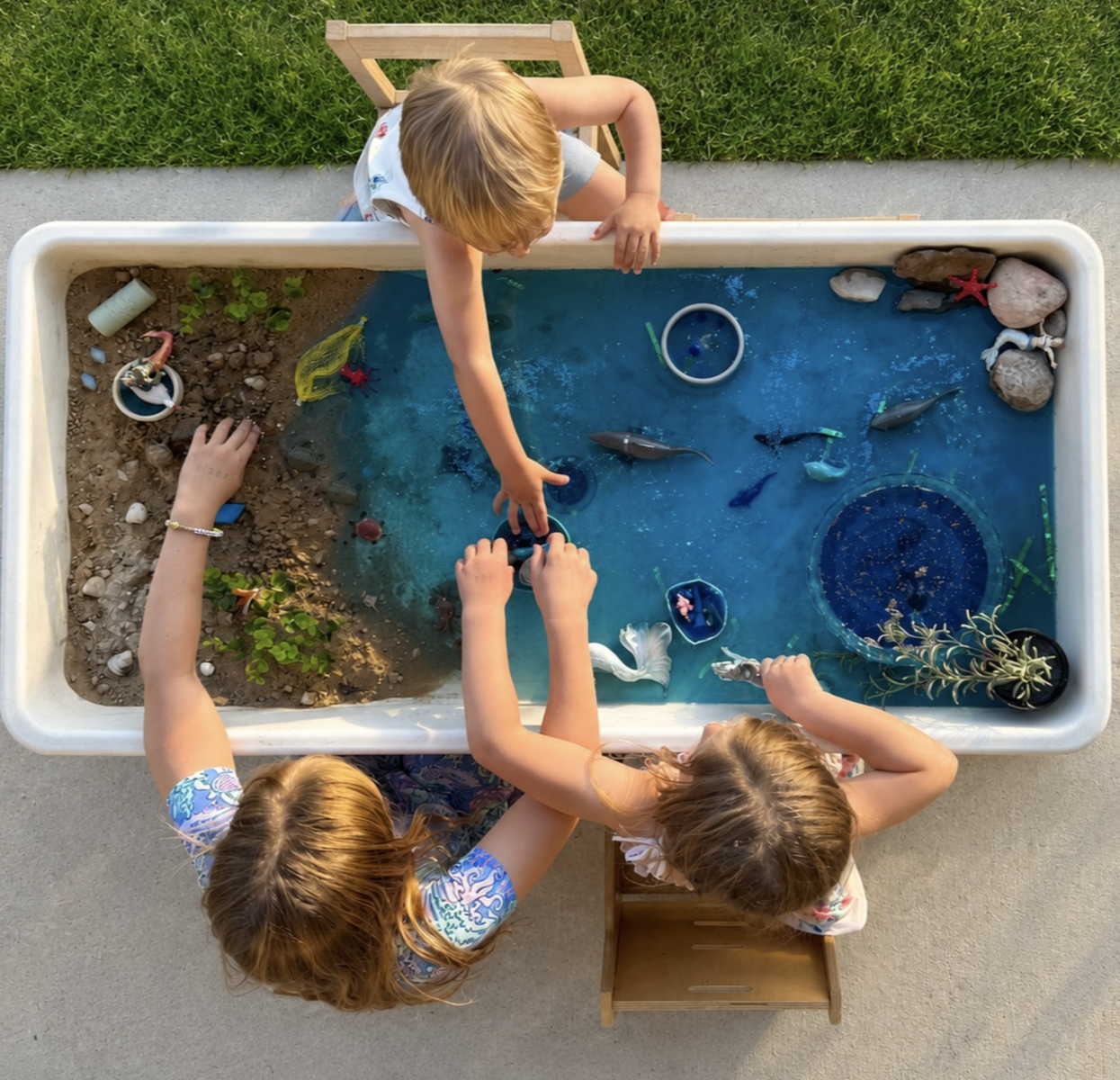 RIPPLES STEAM Water and Sensory Table