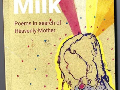Mother's Milk by Rachel Hunt Steenblik (2017, Trade Paperback)