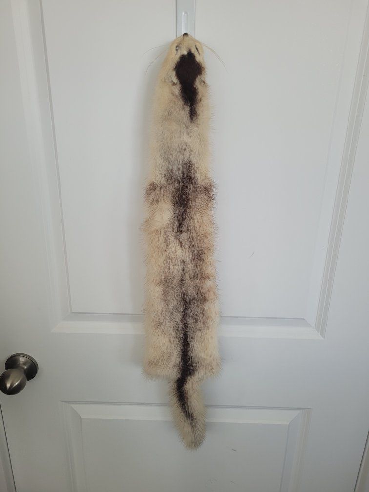 Vintage Real Alaskan Marten Fur Pelt Stole Wrap Scarf