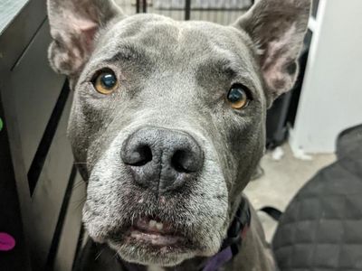 Hello my name is Superman