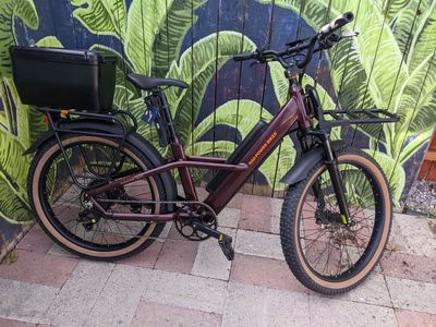 Rad Power Bikes Radster Trail Ebike size large with extra battery + accessories