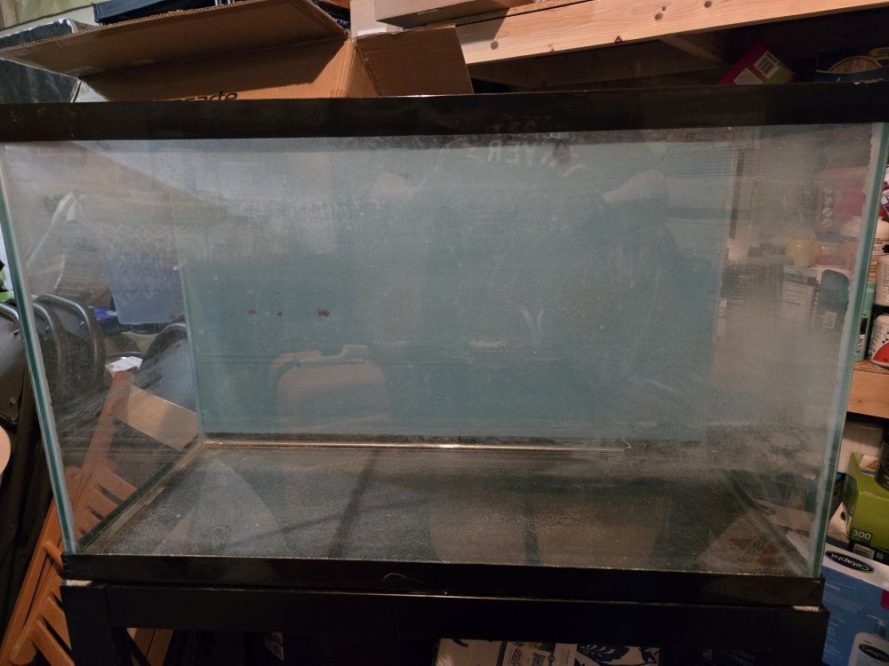 Fish Tank and metal stand