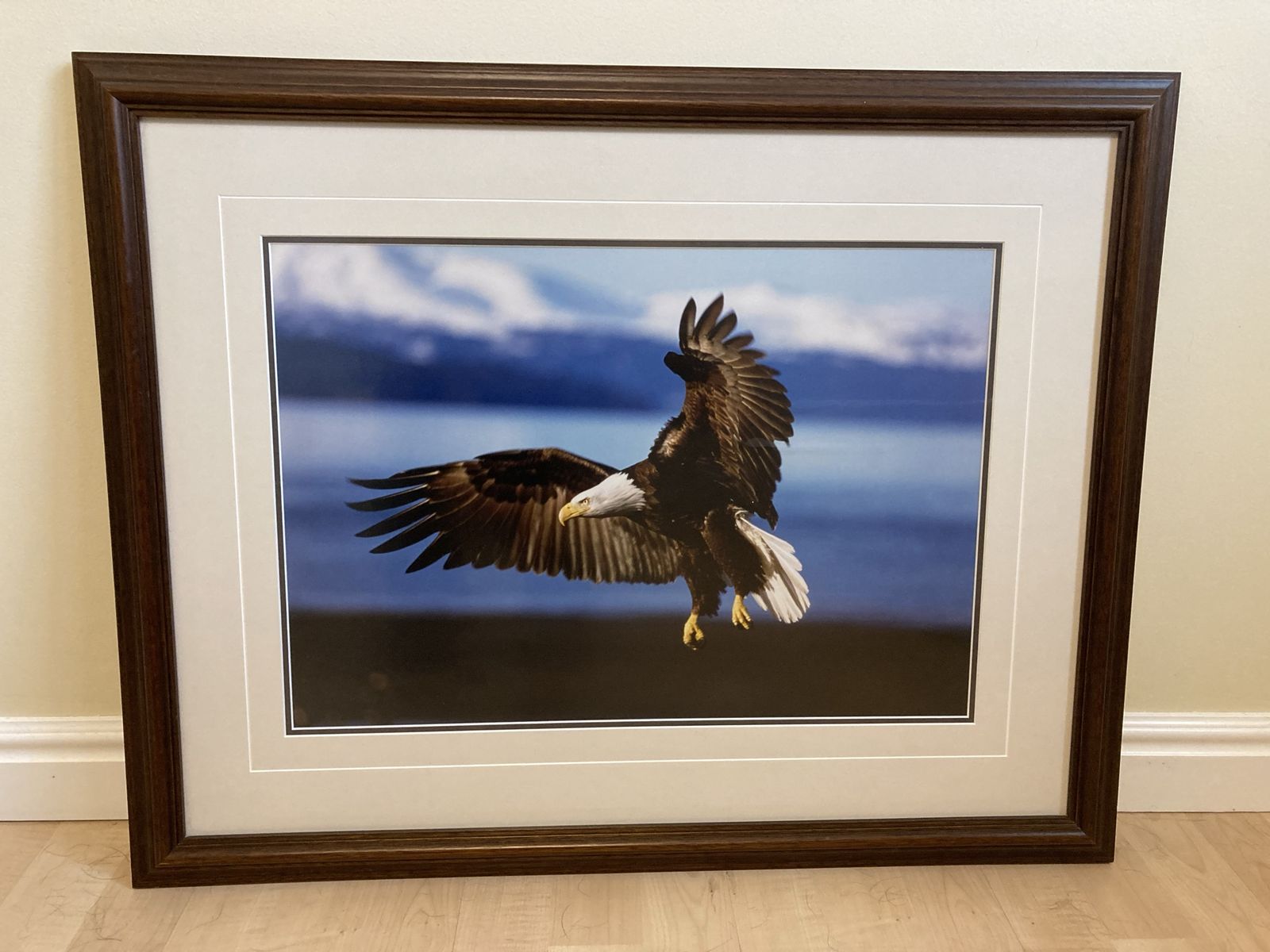 Thomas Mangelsen “Into The Wind” Signed & Numbered Bald Eagle Print, Framed
