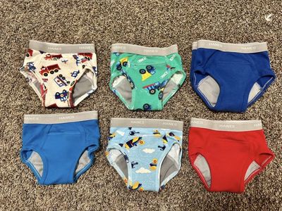 2T/3T Hanes Potty Training Underwear (Boys)