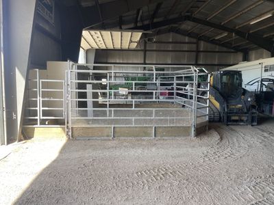 Livestock sale ring