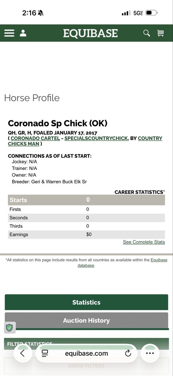 2017 gelding