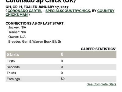 2017 gelding