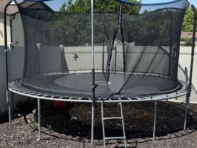 Trampoline with ladder and safety net