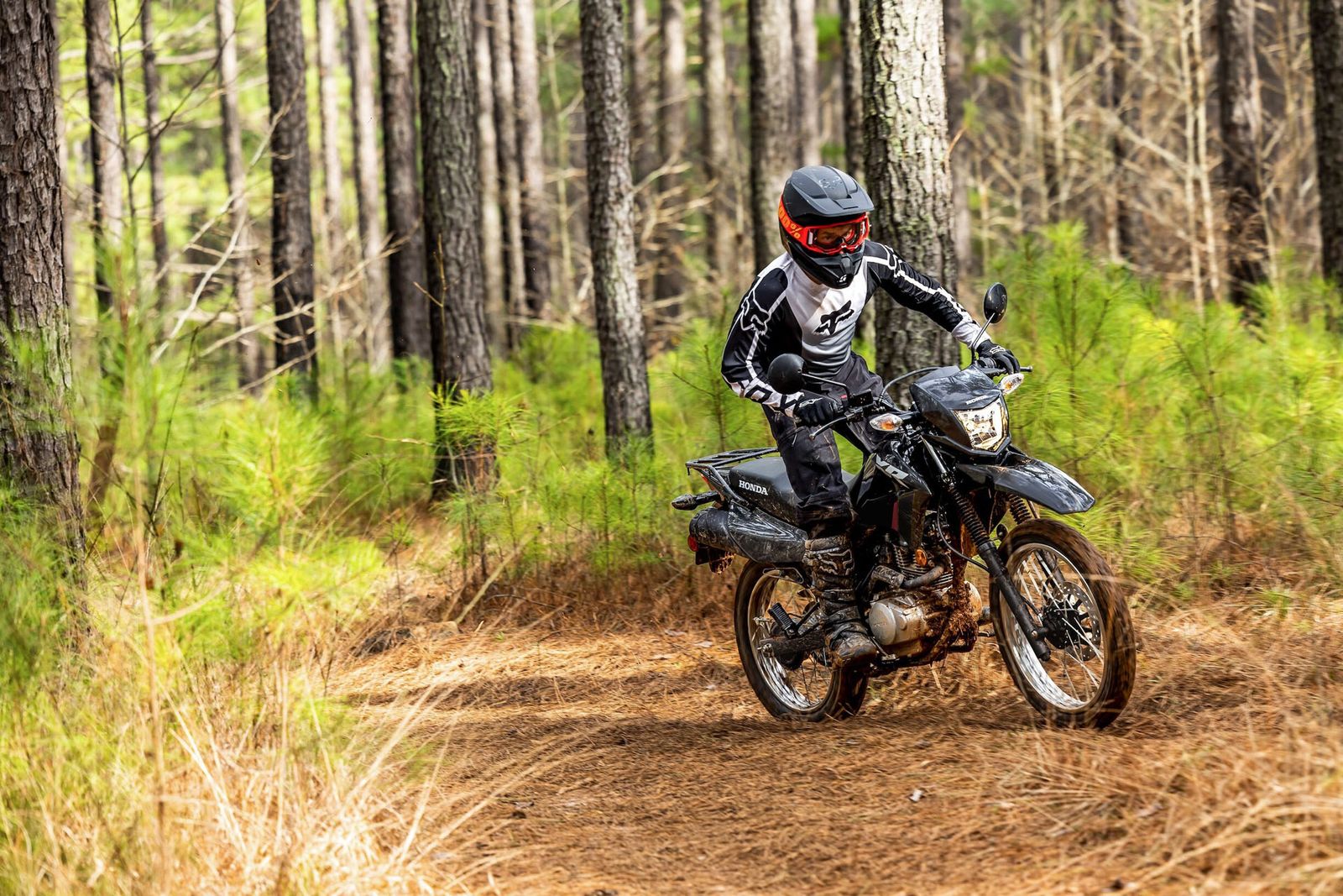 2026 Honda XR150L $3,399*