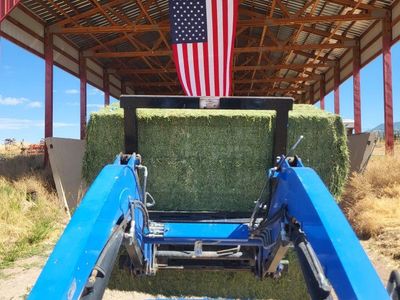 3x3x8 alfalfa