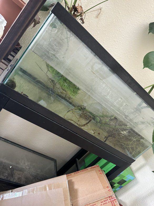 20 gallon tank and stand