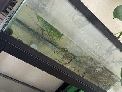 20 gallon tank and stand