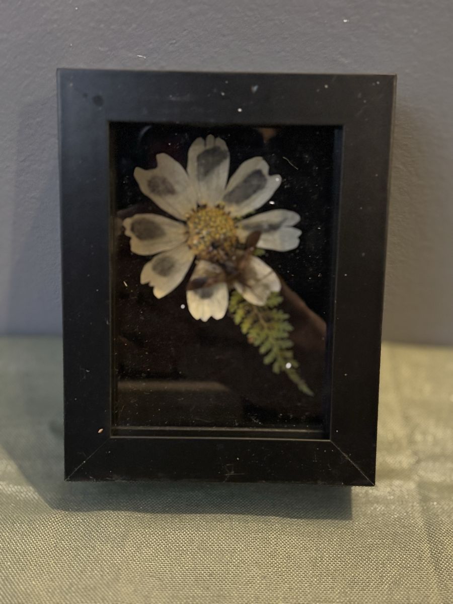 Main image 65
