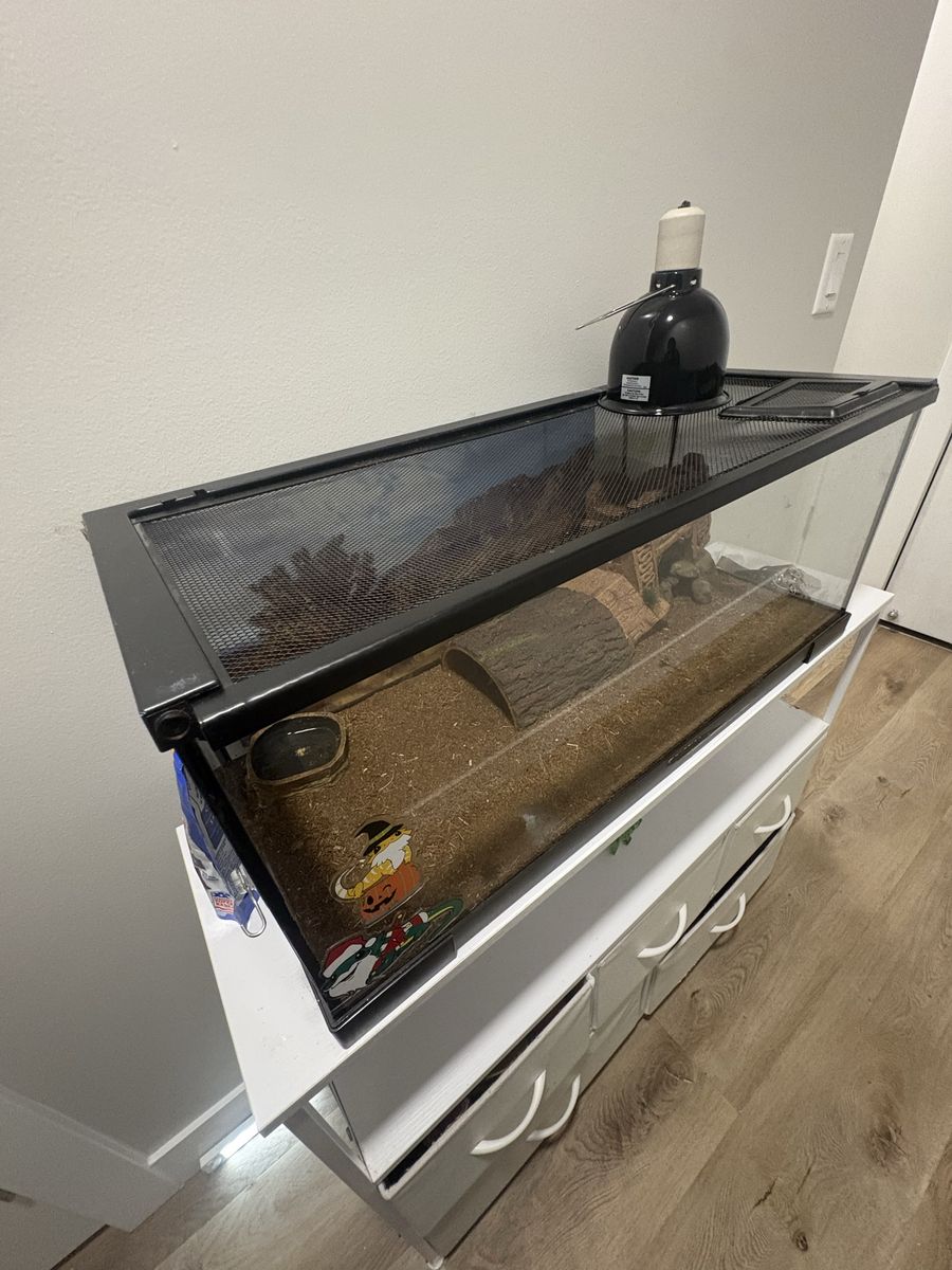 20 gallon tank