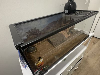 20 gallon tank