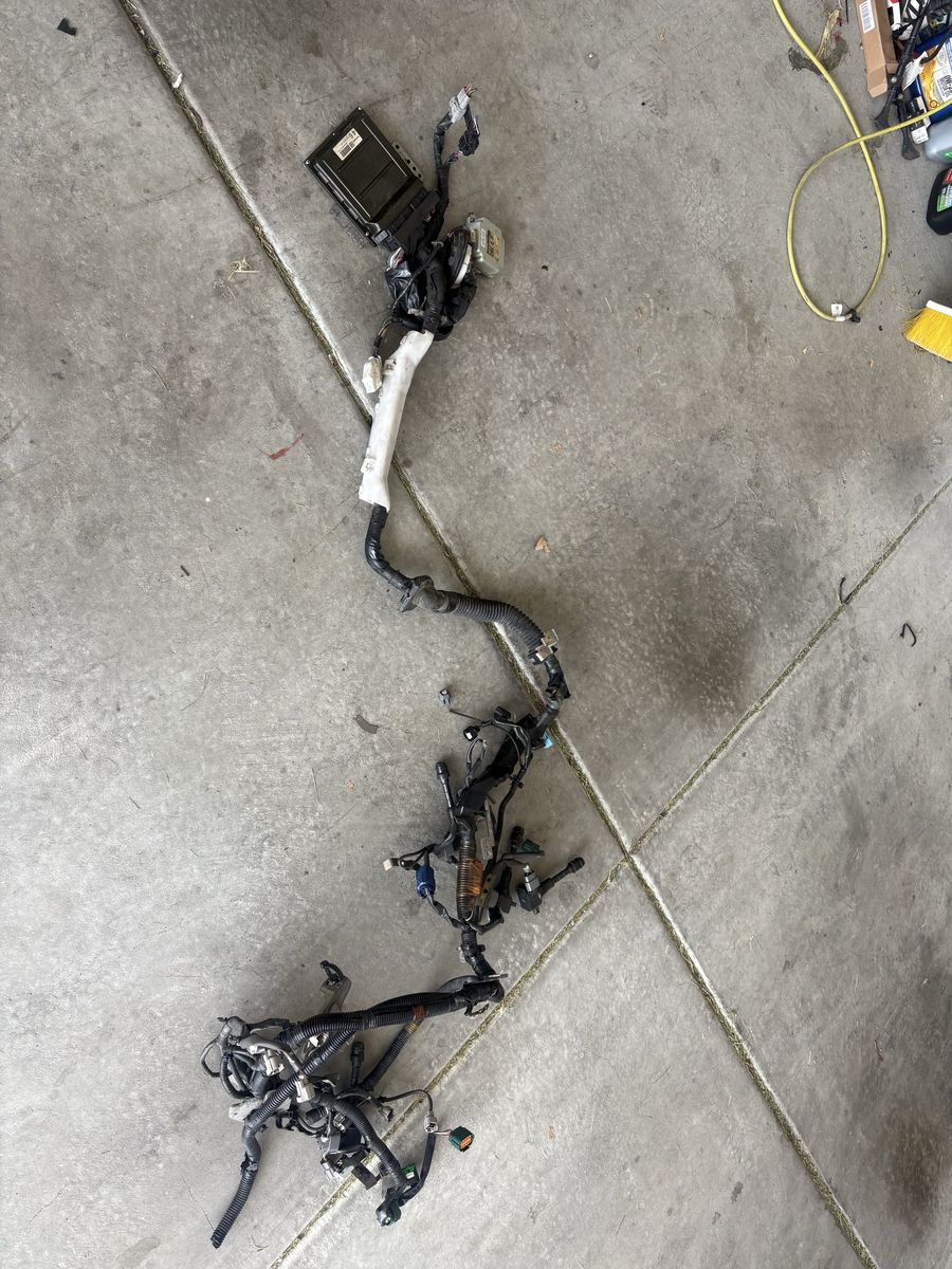 G35 harness