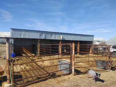 Horse stalls/runs