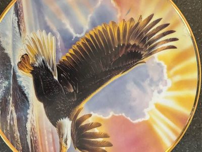 Franklin Mint Bald Eagle Collector Plates – Set of 5