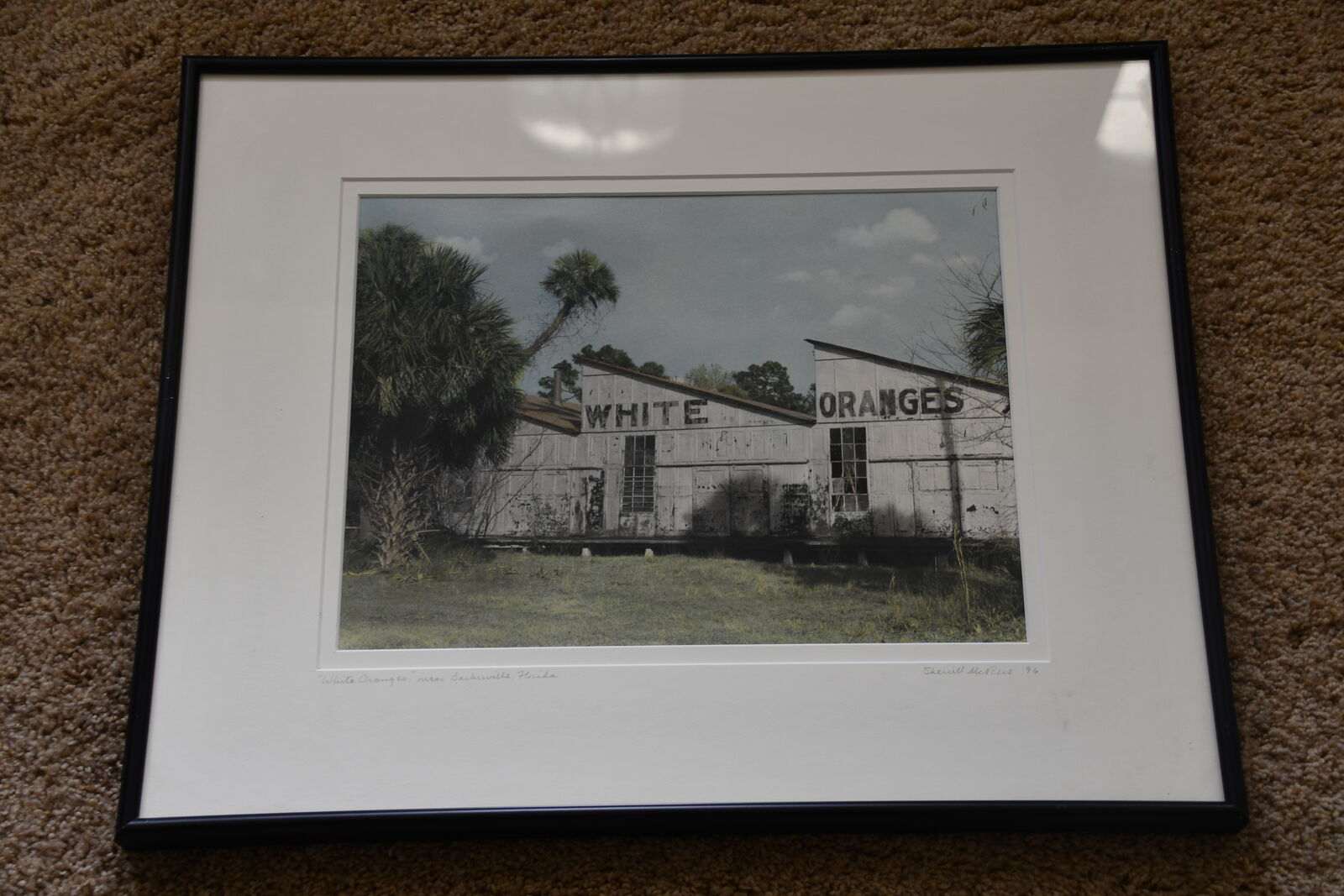 VINTAGE "WHITE ORANGES" PICTURE ~ SIGNED & DATED ~ 16" x 20" FRAMED