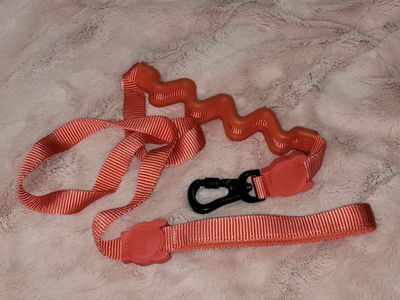Zee.Dog Neon Coral Ruff Dog Leash 2.0 (Sm. 4FT)