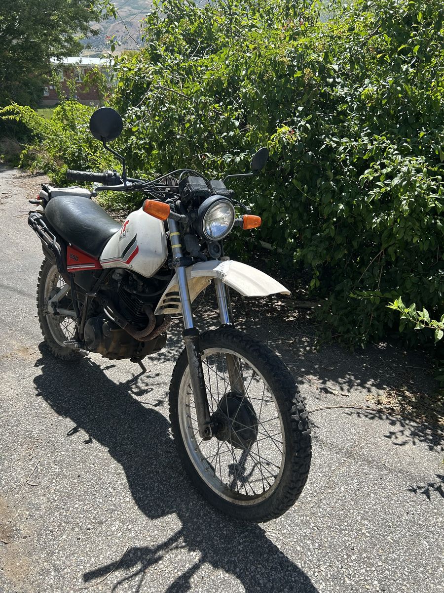 Main image 2