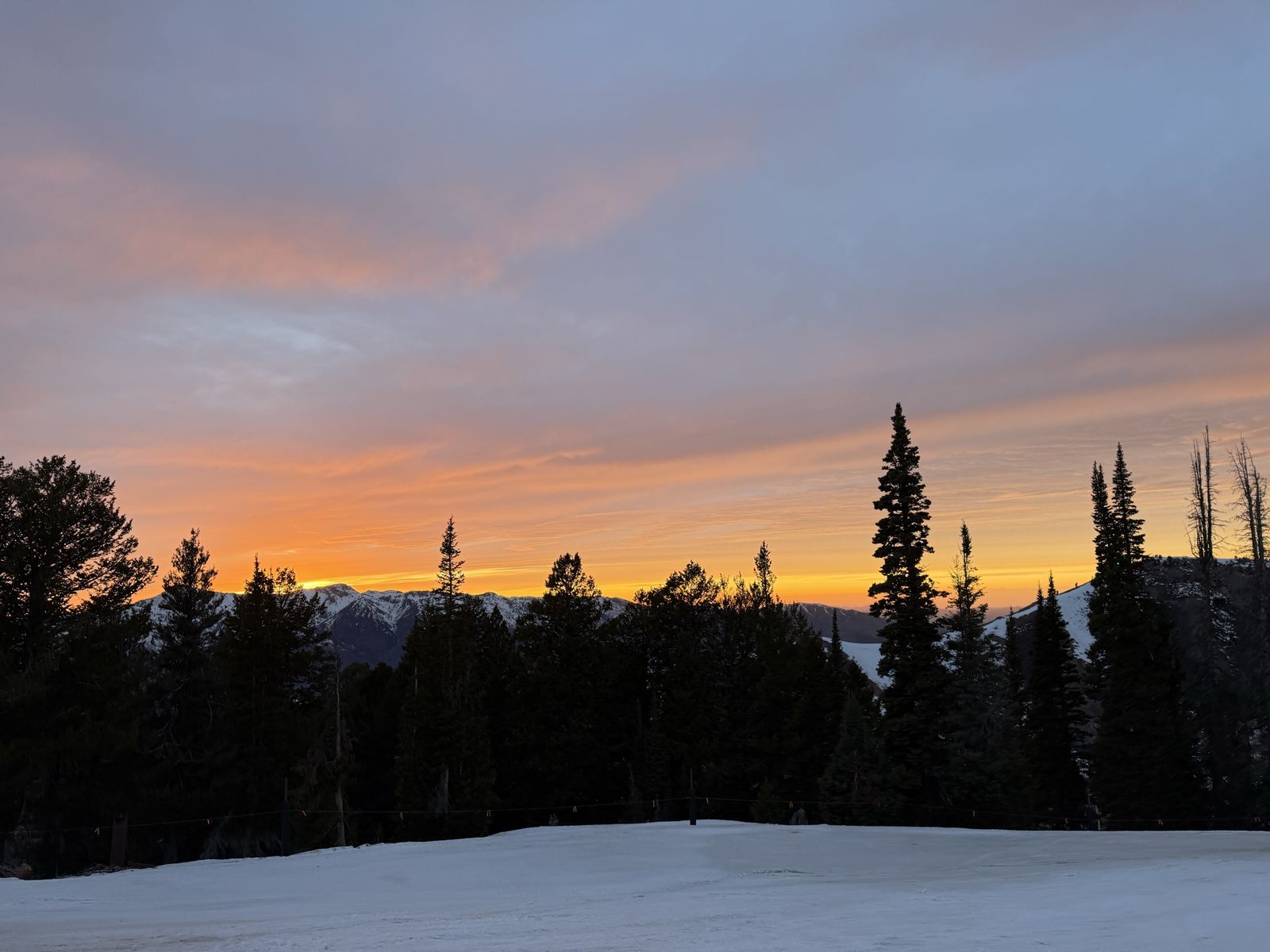 In search of Area 21 water rights