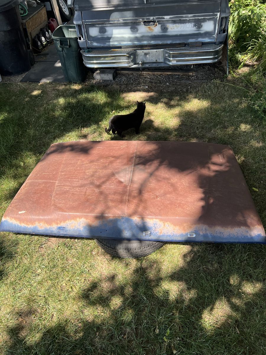 Ford Truck Hood