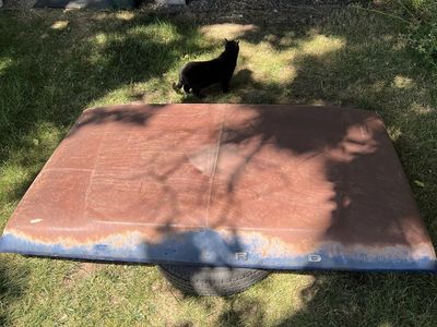Ford Truck Hood
