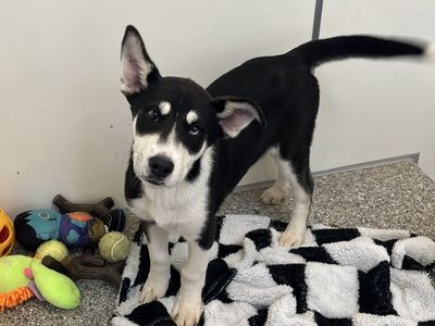 Hello my name is Garrison