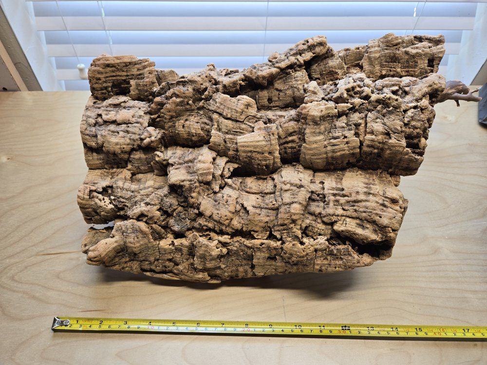 Main image 12