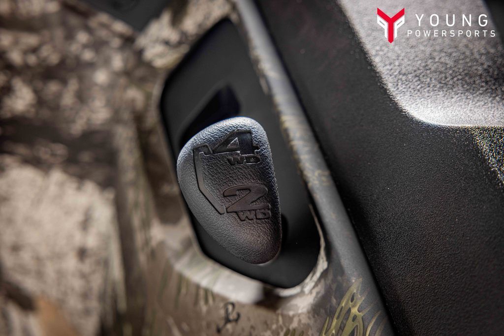 Main image 31