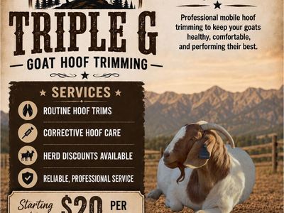 Triple G Mobile Goat Hoof Trimming