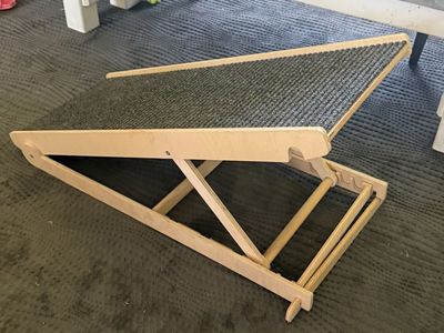 Dog ramp