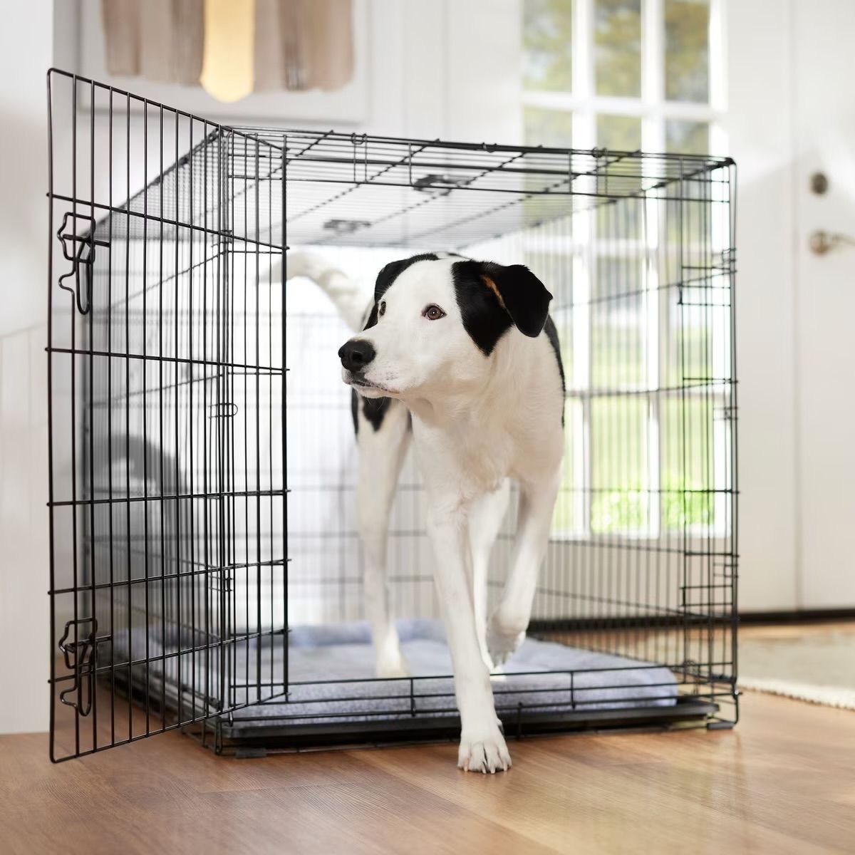 Large Dog Crate