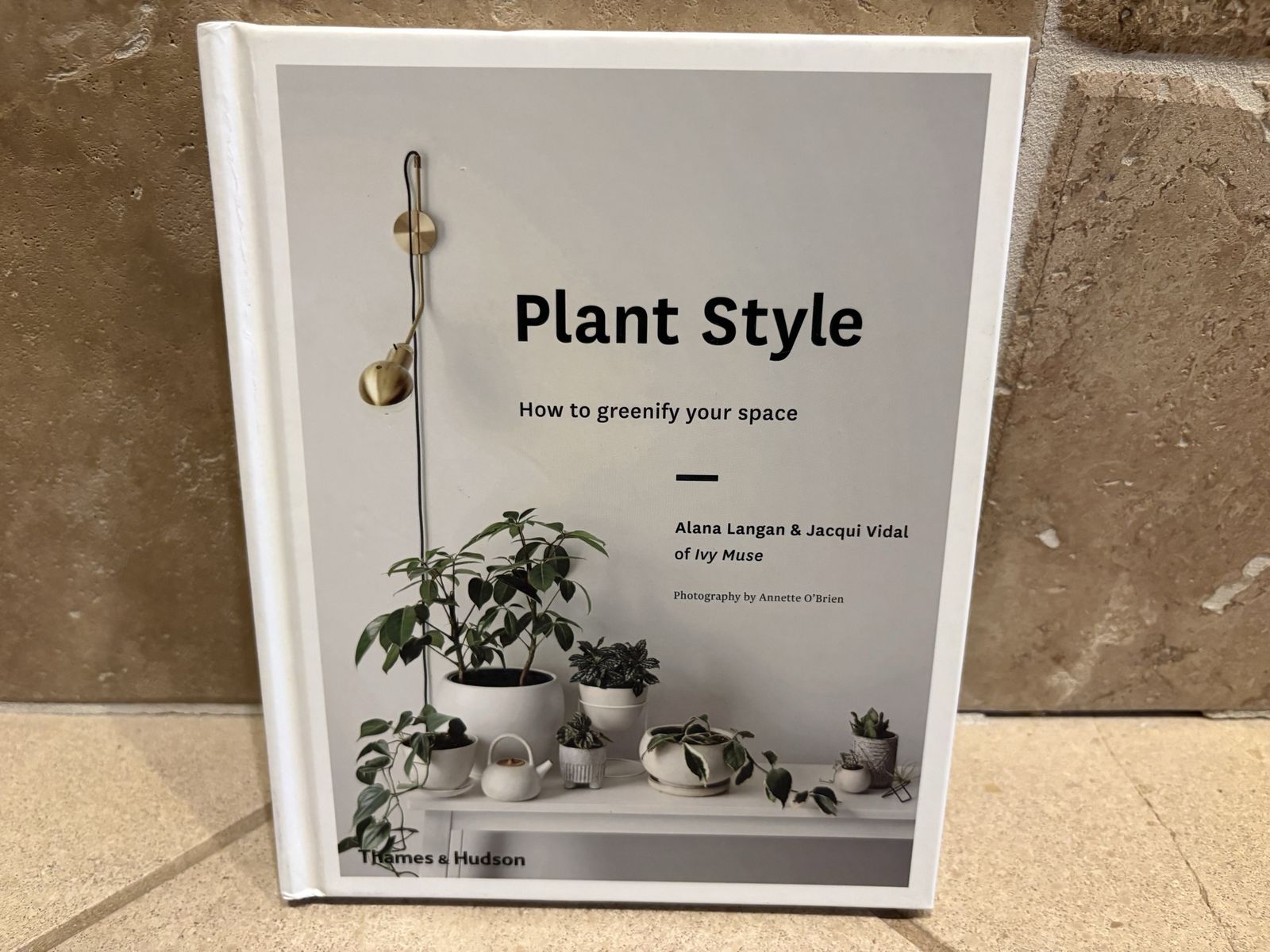 New Plant Style by Langan & Vidal - 2 Available 