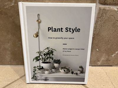 New Plant Style by Langan & Vidal - 2 Available
